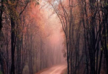 坎德拉：尤里奇要趁早启用胡梅尔斯，马圭尔能否考虑意甲？.