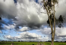 蓝鲸体育官网：三月ATP大事纪：阳光双赛诞两新大师，西西马哈奇夺首冠！.