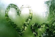 蓝鲸体育官网：“篮球运动员退役后从事教练工作，培养新一代球员”.