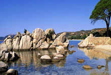 蓝鲸体育官网：[CBA]总决赛5月17日：辽宁VS新疆 阿不都沙拉木集锦.